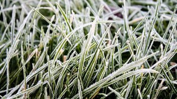 数字技术使用技巧：数字相框的远程更新方法